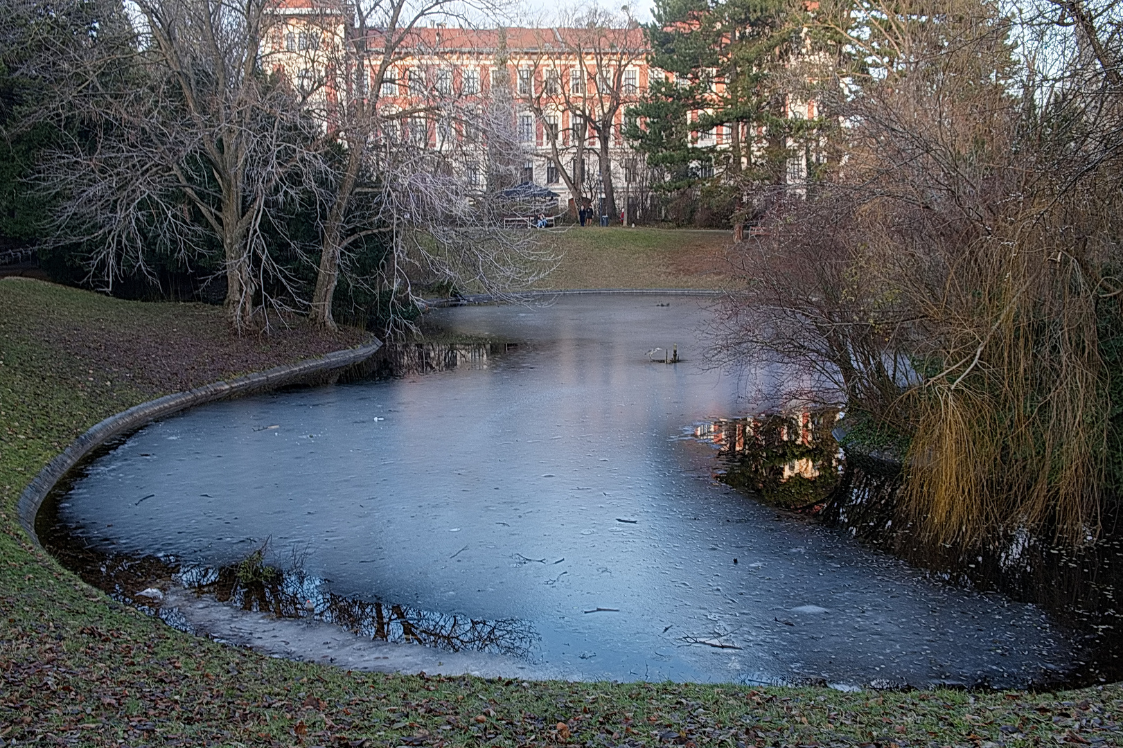 Tauwetter am Teich