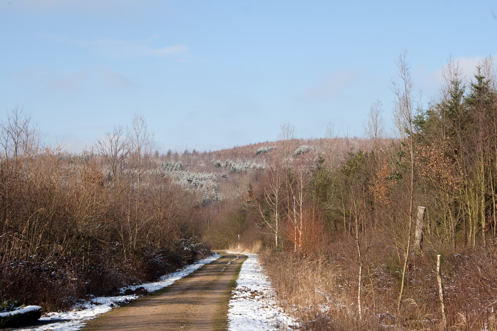 Tauwetter auf der Sophienhöhe