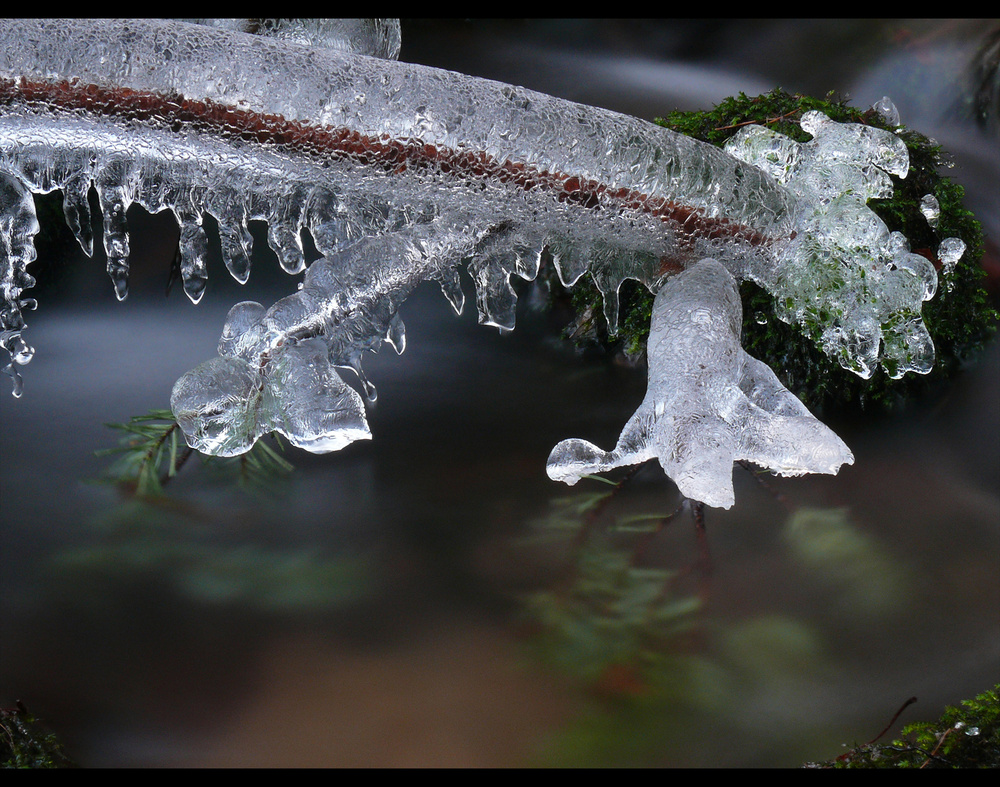 - Tauwetter - das Eis schwindet -