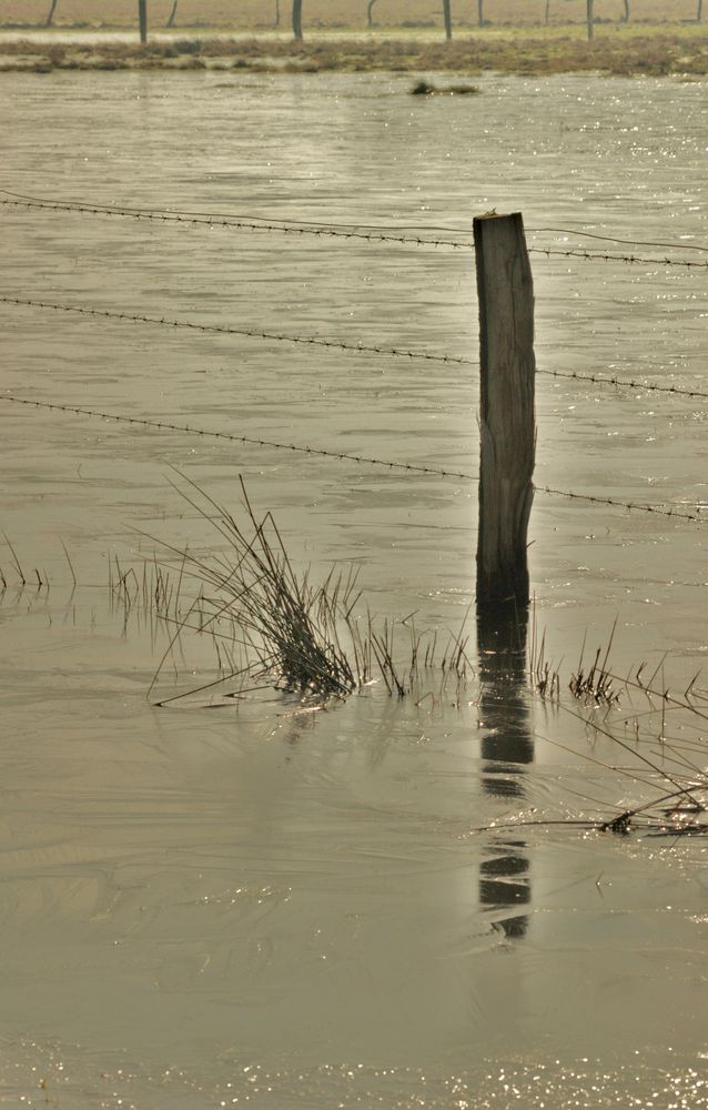 Tauwetter im Moor 2