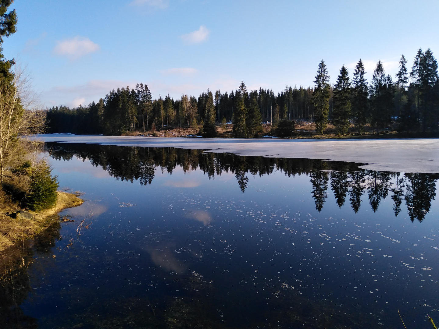 Tauwetter im Oberharz / Prinzenteich mit Spiegelung