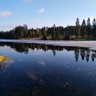 Tauwetter im Oberharz / Prinzenteich mit Spiegelung