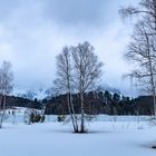 Tauwetter zum Frühlingsanfang