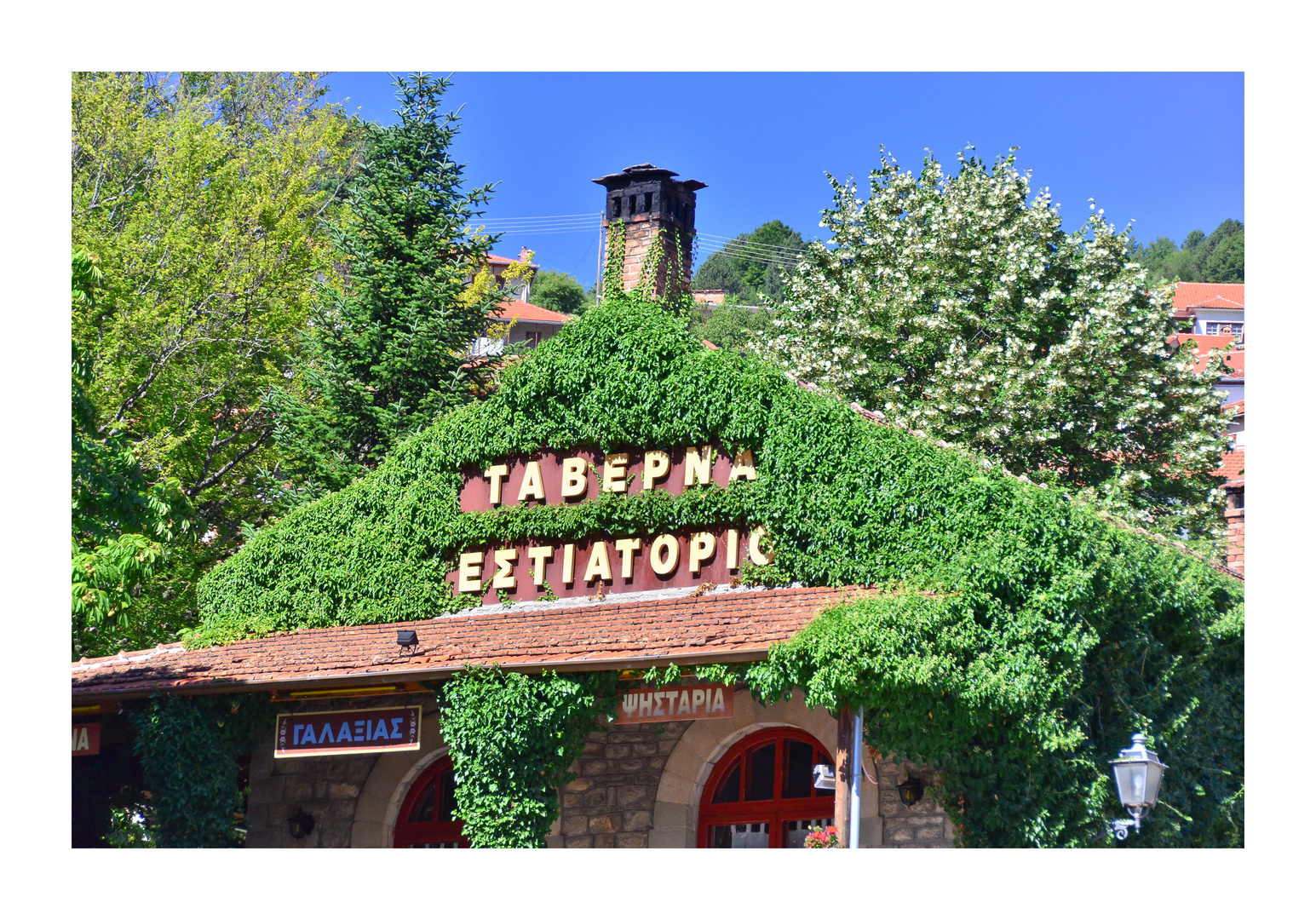 Taverna Estiatorio in Metsovo