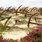 Tavira Algarve- Praia do Barril 