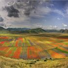 Tavolozza a Castelluccio 2016