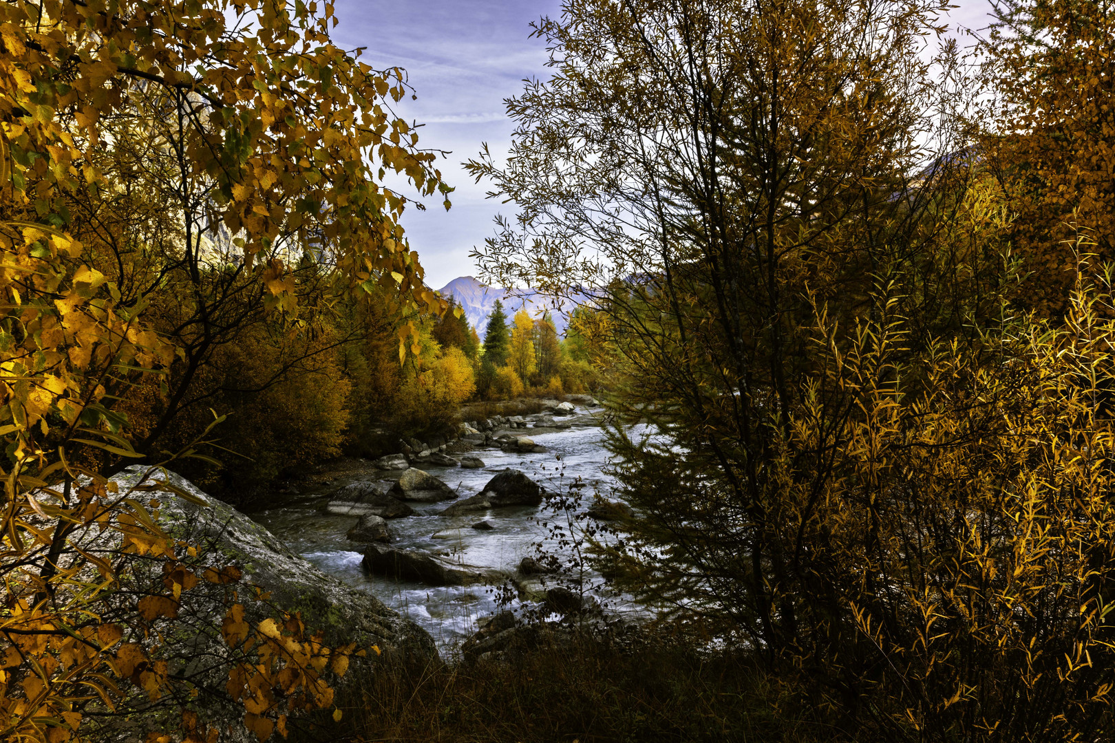 Tavolozza autunnale