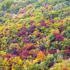 Tavolozza d'autunno lungo la via Francigena