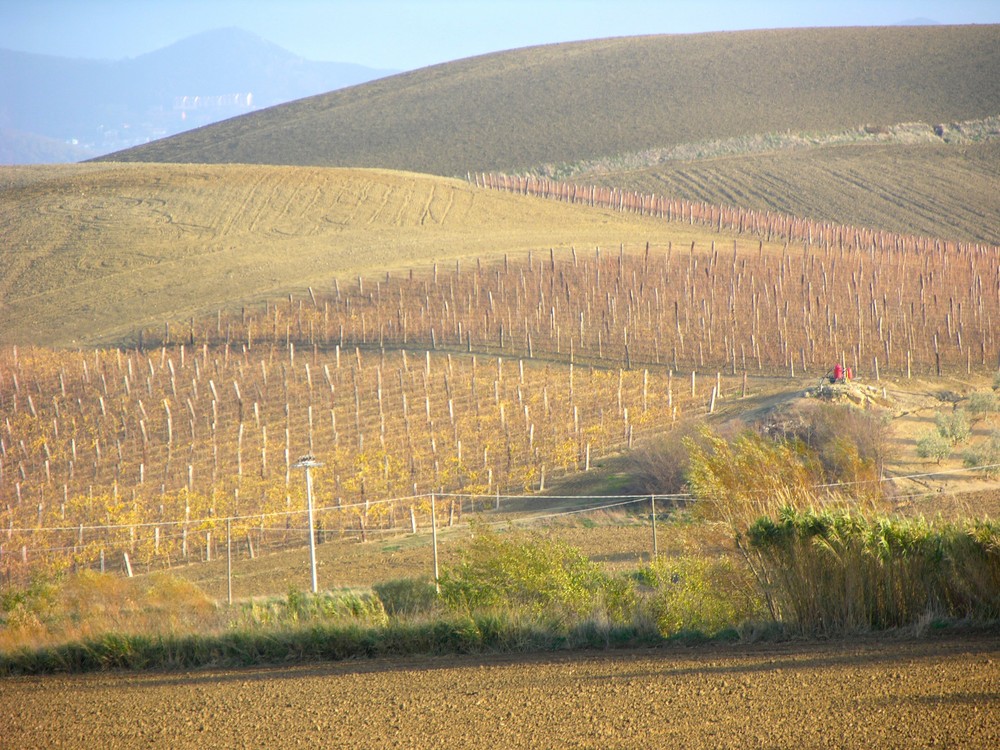 Tavolozza di colori autunnali.