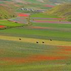 Tavolozza Naturale