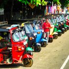 Taxi driver - Sri Lanka