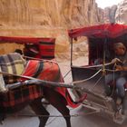 Taxi im Siq_Petra_Jordan