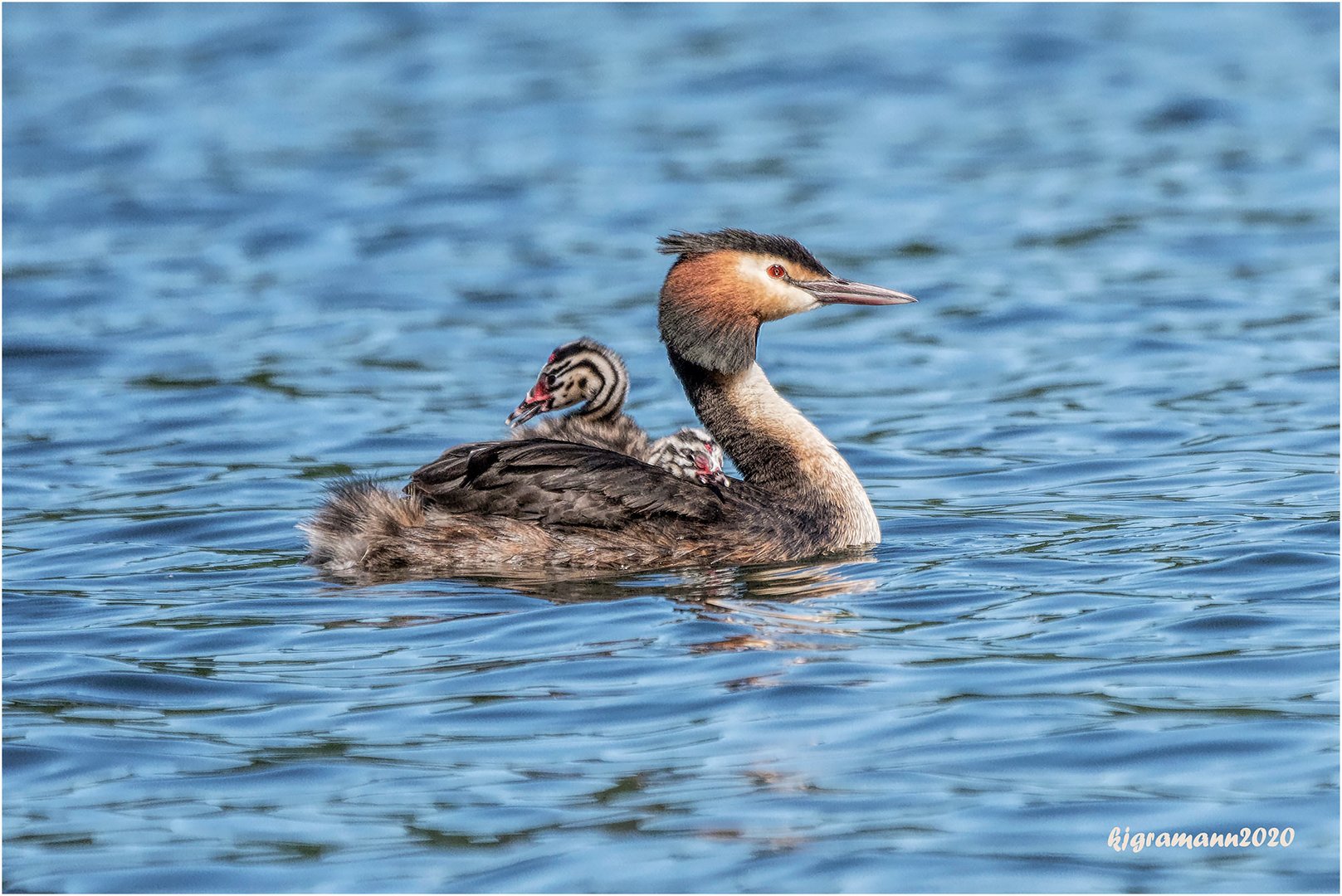 taxi mama....