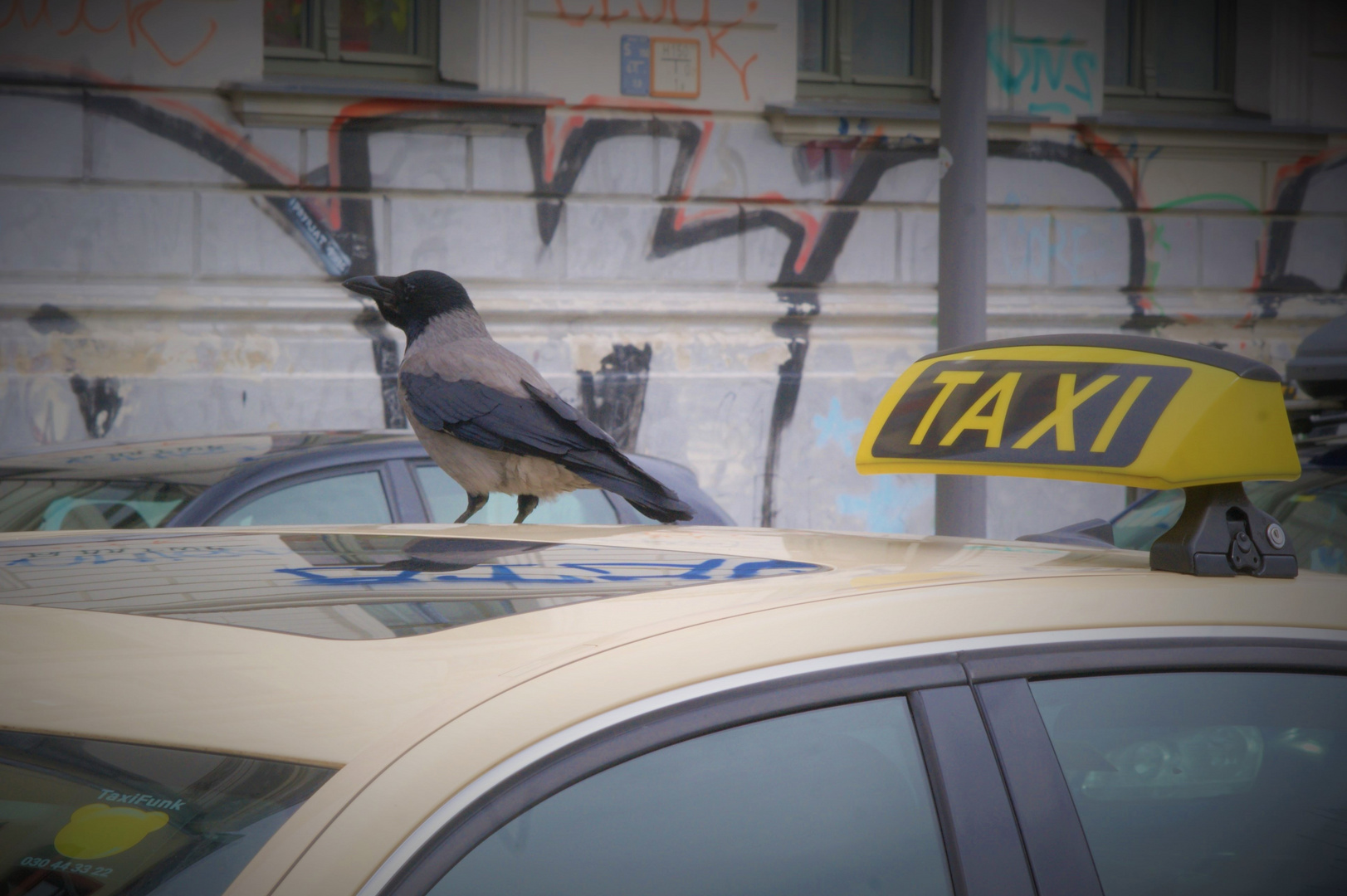 Taxi nach Berlin