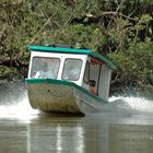 Taxi nach Honduras