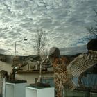 Taxidermy Sky