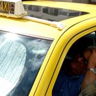 taxidriver, without frame