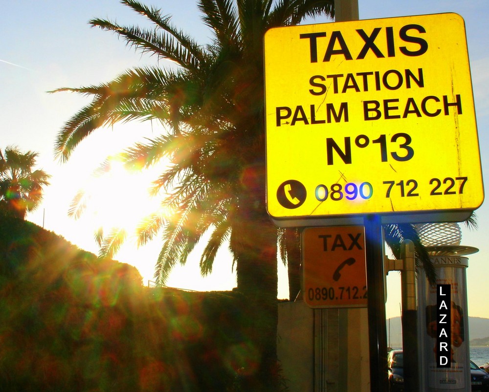 TAXIS PALM BEACH