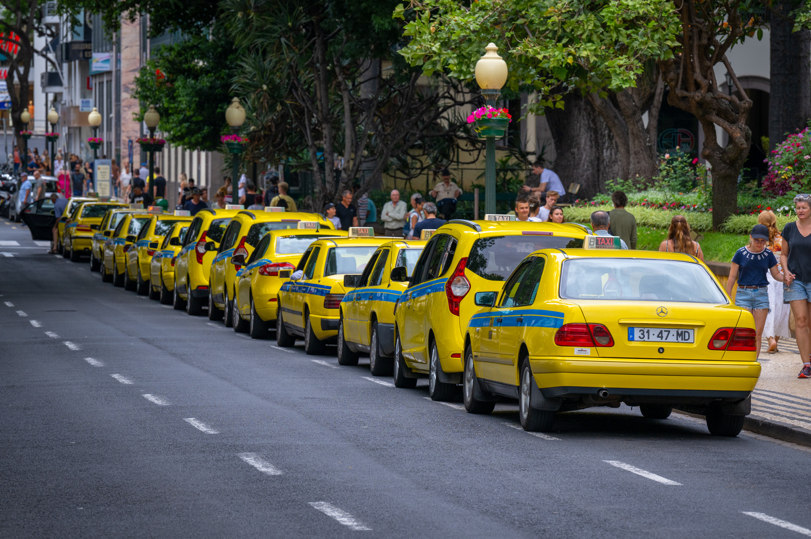 Taxis waiting