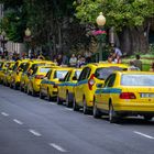 Taxis waiting