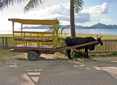 Taxistand auf La Digue