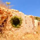 Taybeh in Palestine