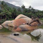 Tayrona National Park Kolumbien