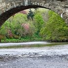 Tay,wade's Bridge., Scotland