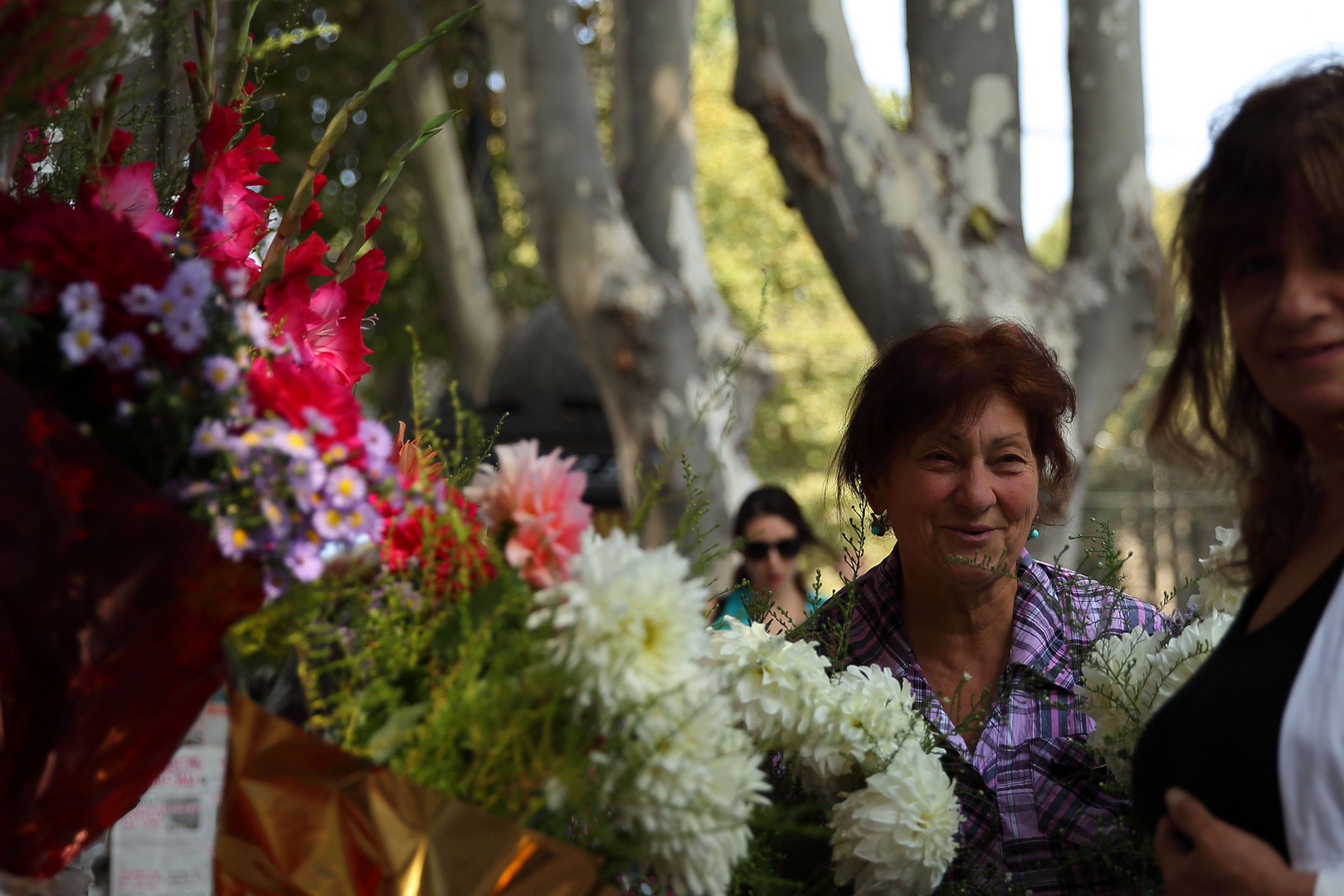 Tbilisi durch die Blume 2