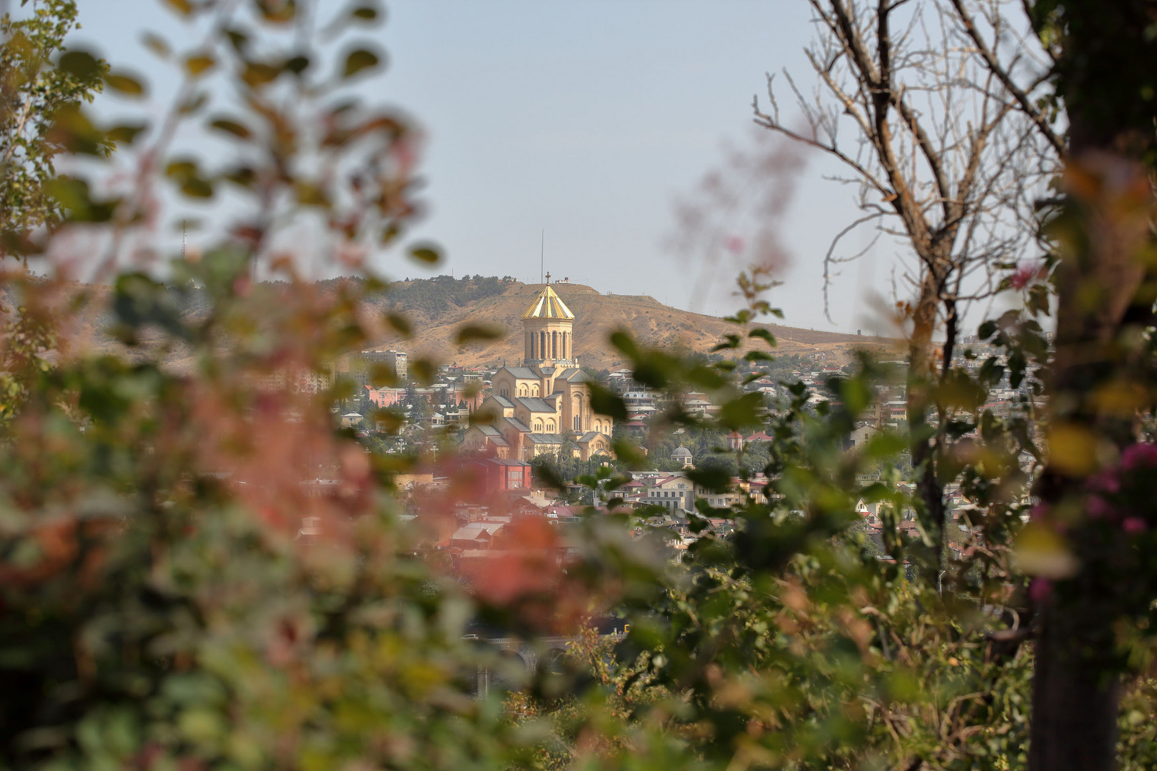 Tbilisi durch die Blume