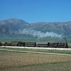 TCDD 44065 (pr. G8) bei Gümüsgün Frühjahr 1980