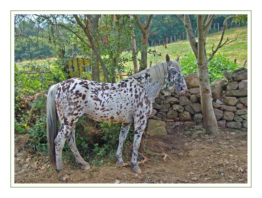 tâché..... mais très beau