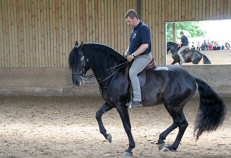 TdoT bei Eddy Willems