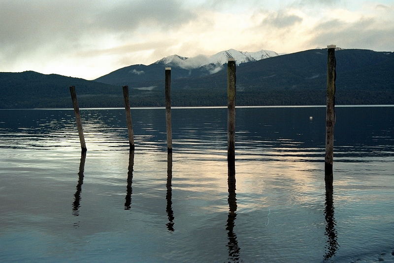 te anau