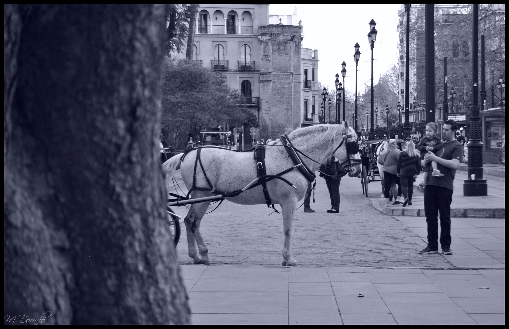 ¿Te apetece un paseo?