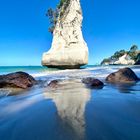 Te Horo Rock (Cathedral Cove)