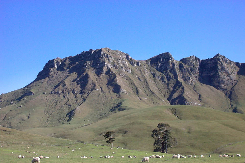 Te Mata Peak