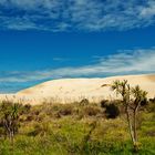 Te Paki Sand Dunes, North Island