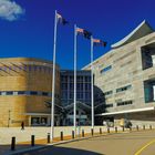 Te Papa - Our Place