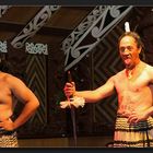 Te Puia - Maori Cultural Performances