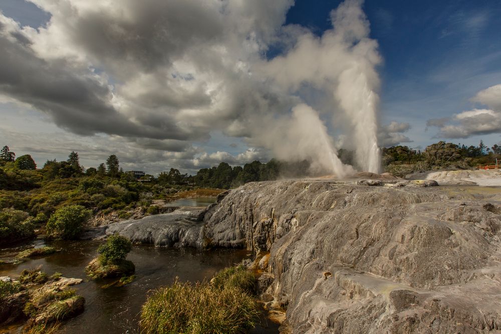 Te Puia, Neuseeland