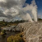 Te Puia, Neuseeland