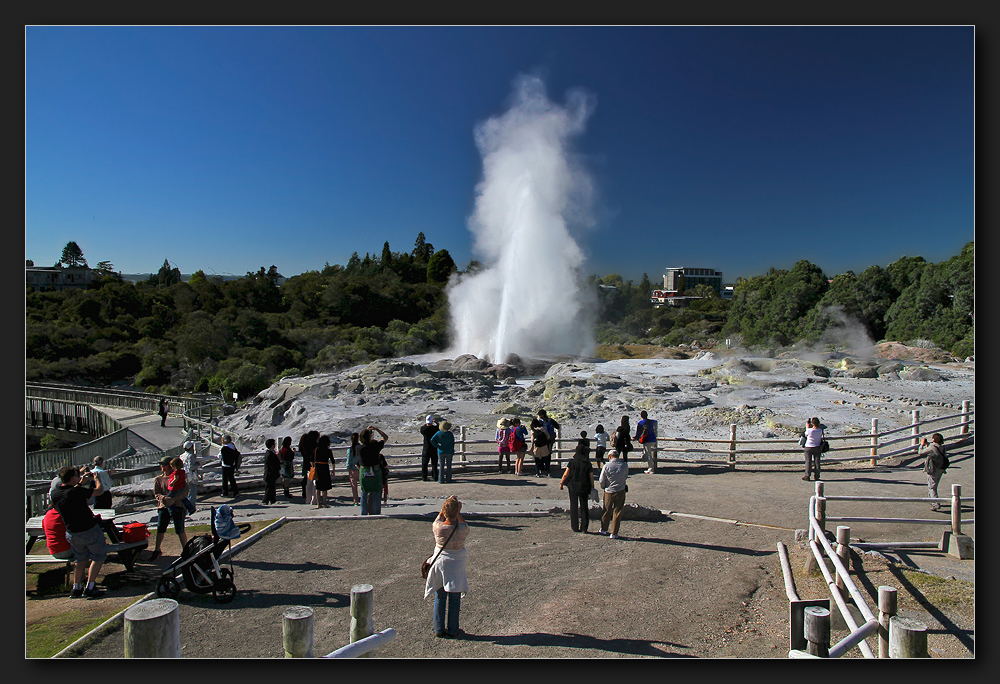 Te Puia - Pohutu Geysir