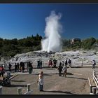 Te Puia - Pohutu Geysir