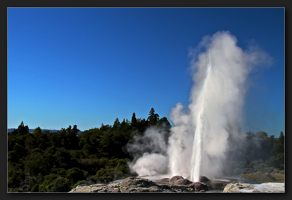 Te Puia - Pohutu Geysir