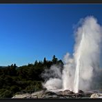 Te Puia - Pohutu Geysir