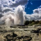 Te Puia - Rotorua / New Zealand