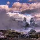 Te Puia - Rotorua - New Zealand