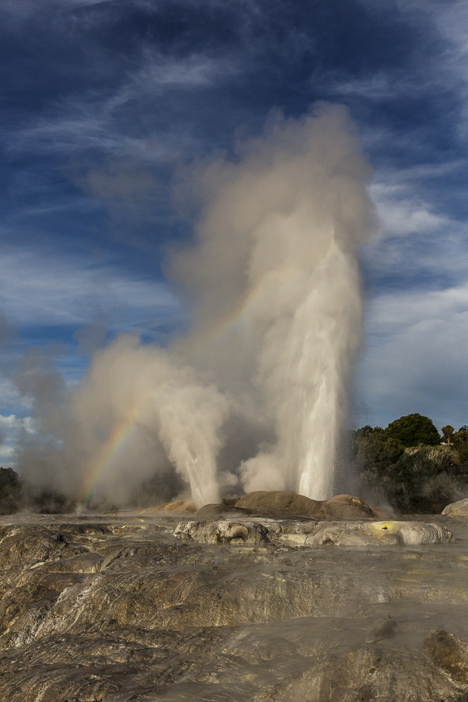 Te Puia - Waka, Neuseeland