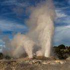 Te Puia - Waka, Neuseeland